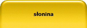 słonina